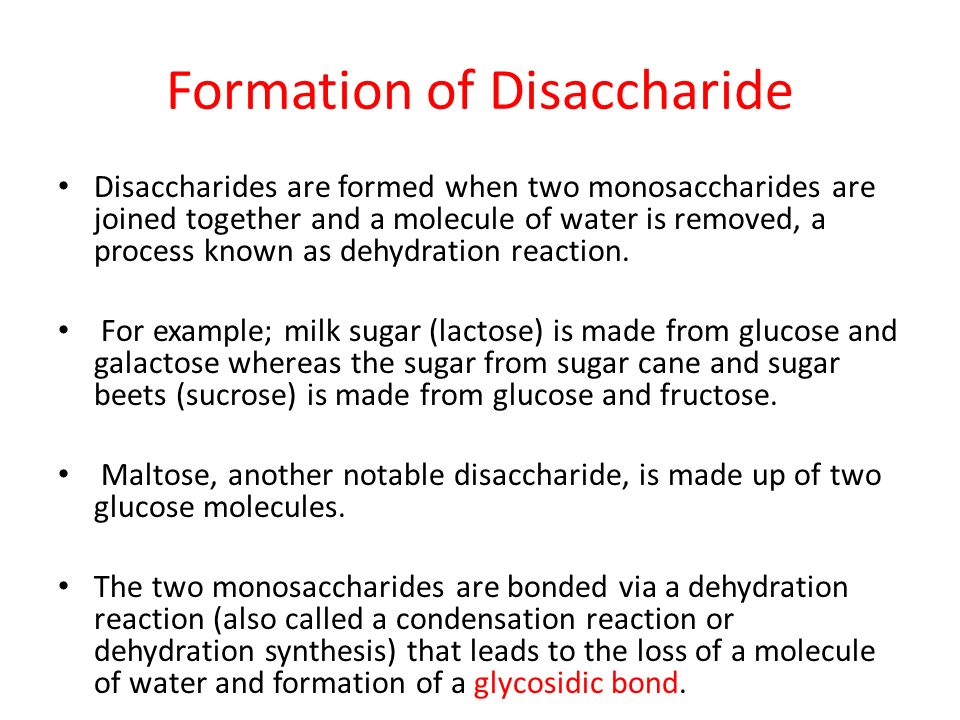 Formation of Disaccharide
