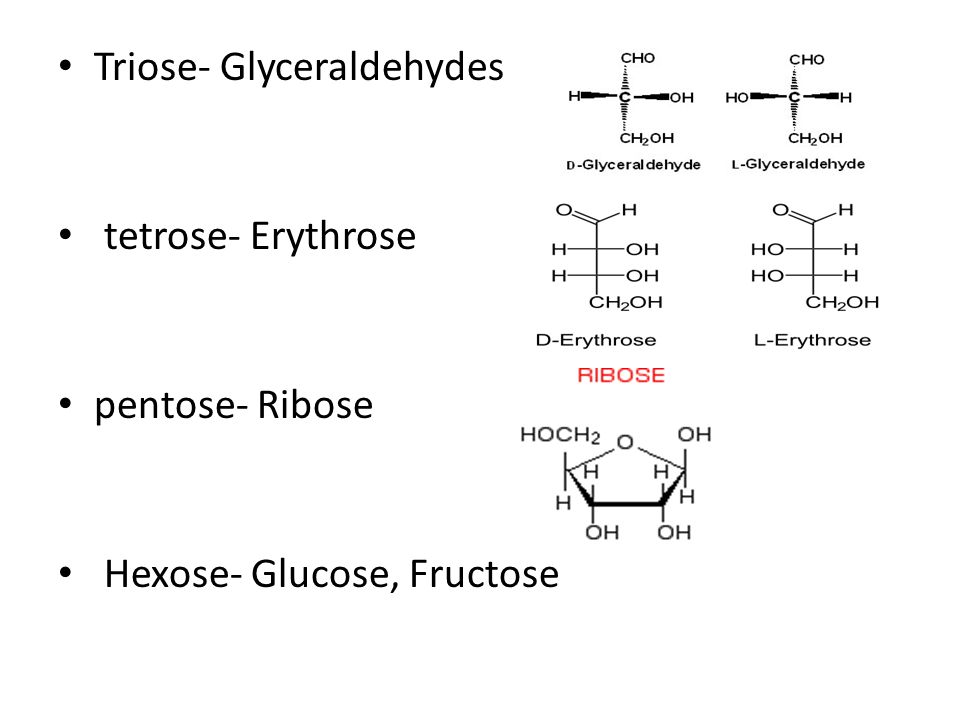 Triose- Glyceraldehydes