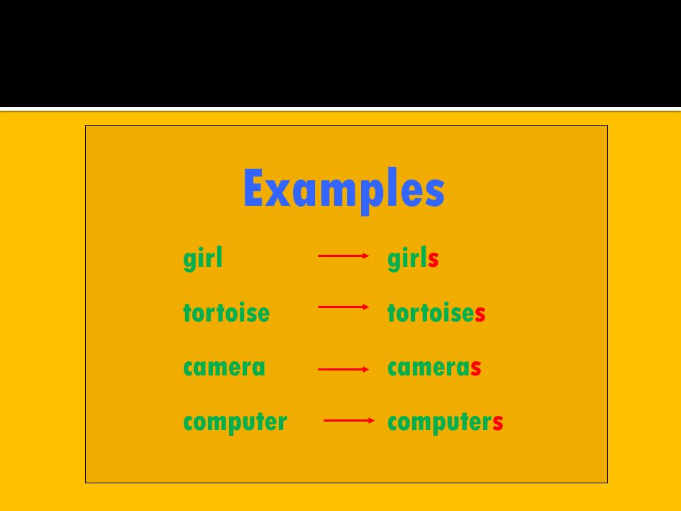 Singular and Plural Nouns. - ppt video online download