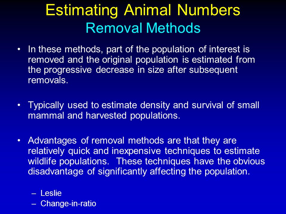 Estimating Animal Numbers - ppt video online download