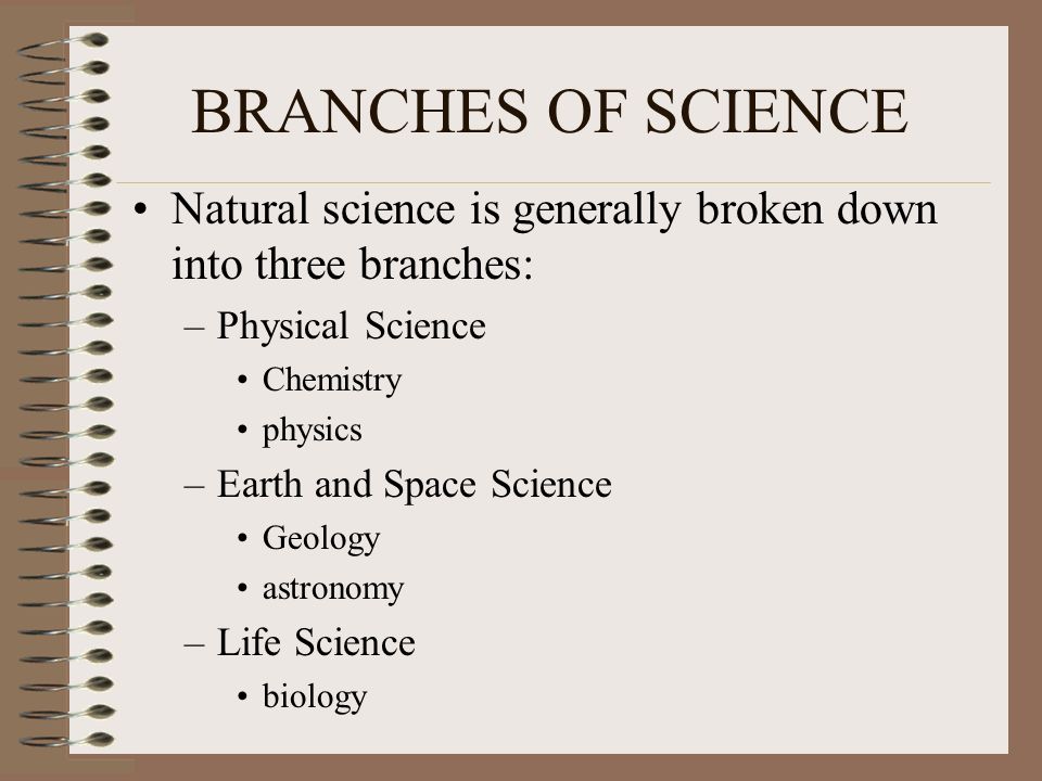 Natural science перевод. Sections of Science. Branches of Science слова. Естественные науки на английском. Branch of Science Science what does it study? Physical Chemistry таблица.