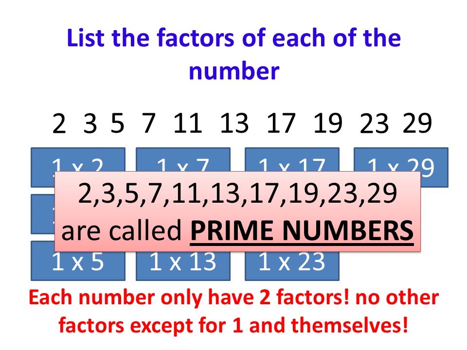 List the factors of each of the number