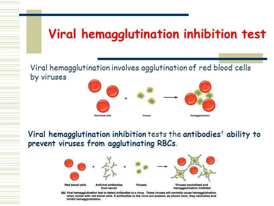 Shedding inhibitions pt9. Hemagglutination inhibition Reaction. Hemagglutination Tests. Indirect hemagglutination Reaction. Reverse Passive hemagglutination Test.