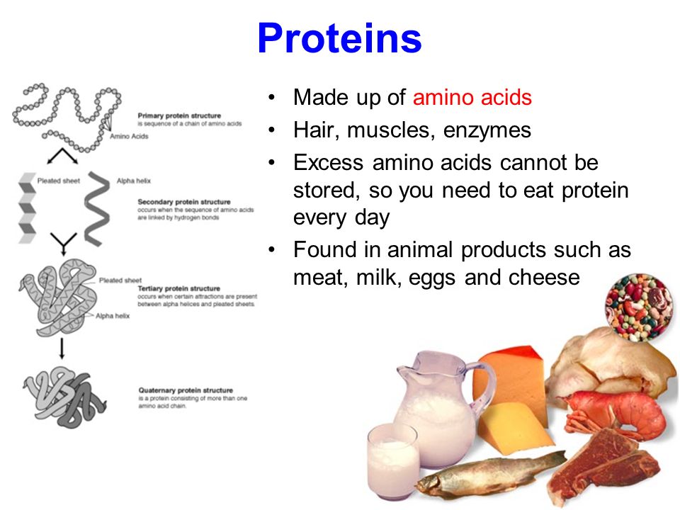 Food and Nutrients. - ppt download