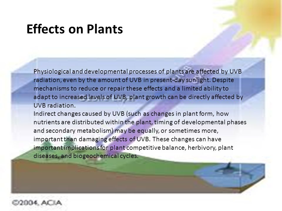 Health and Environmental Effects of Ozone Layer Depletion - ppt video  online download