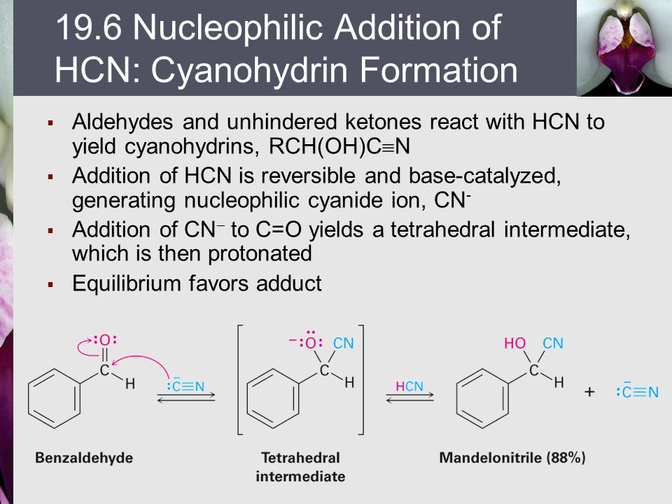 Chapter 19 Aldehydes And Ketones Nucleophilic Addition Reactions Ppt Video Online Download