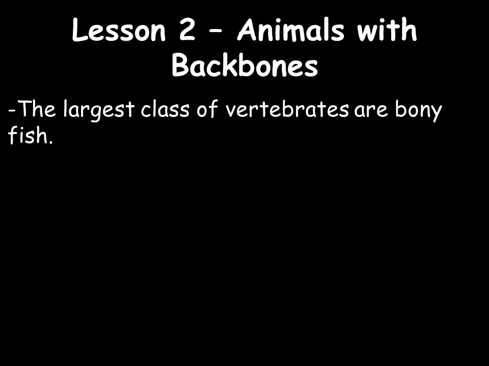 Lesson 2 – Animals with Backbones - ppt video online download