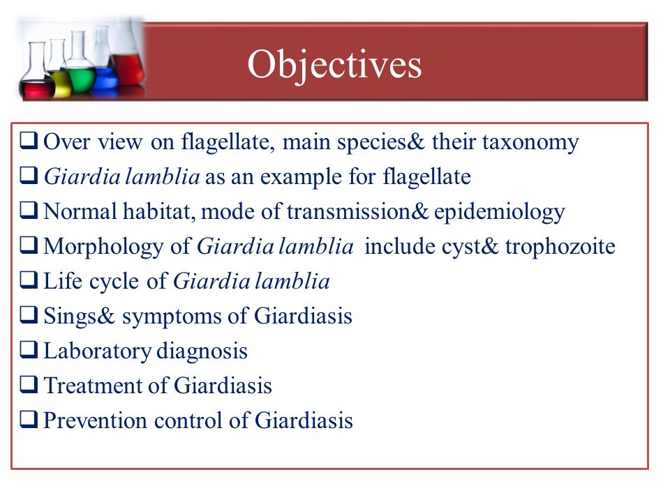 A Giardiasis tünetei kezelés diagnosztizálása. Saját fiók - Giardiasis iga