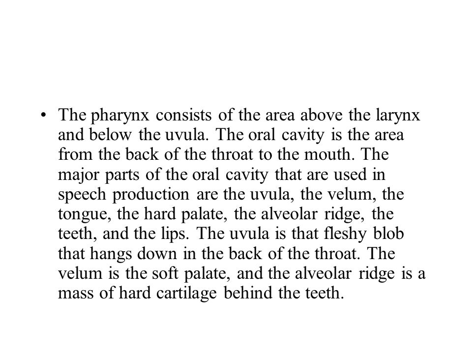 The pharynx consists of the area above the larynx and below the uvula