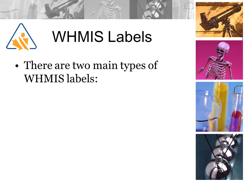 Science Lab Safety. - ppt video online download
