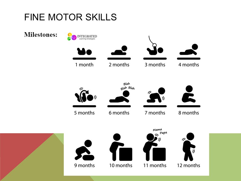 Fine motor skills Milestones: