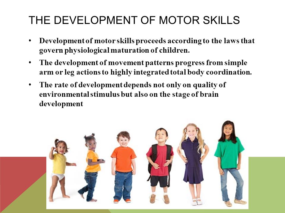 The development of motor skills