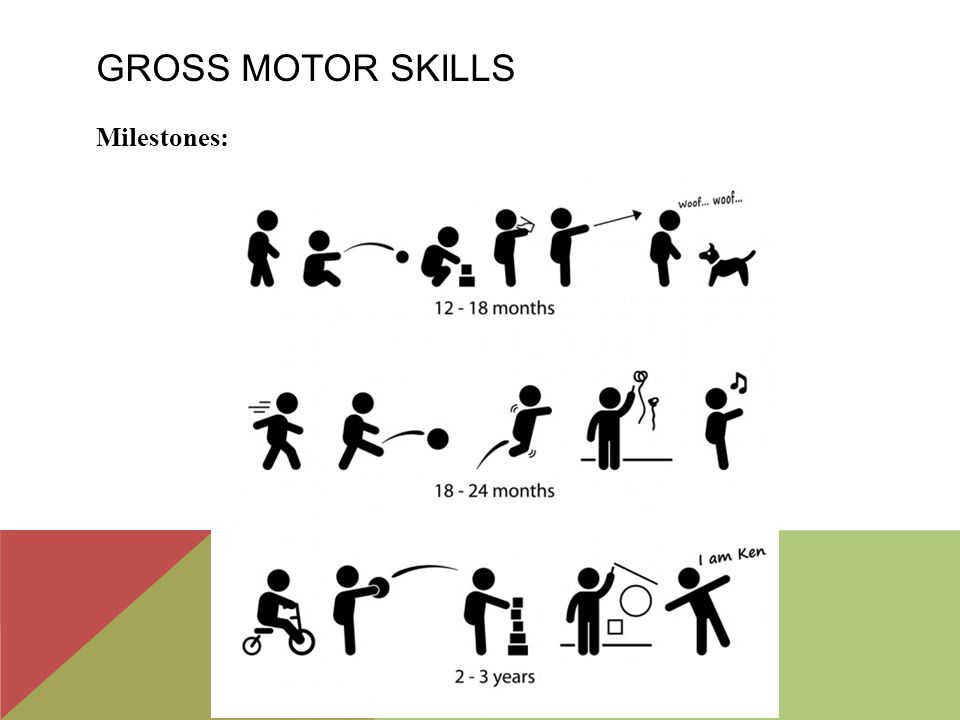Gross motor skills Milestones: