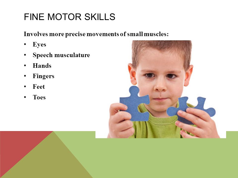 Fine Motor skills Involves more precise movements of small muscles: