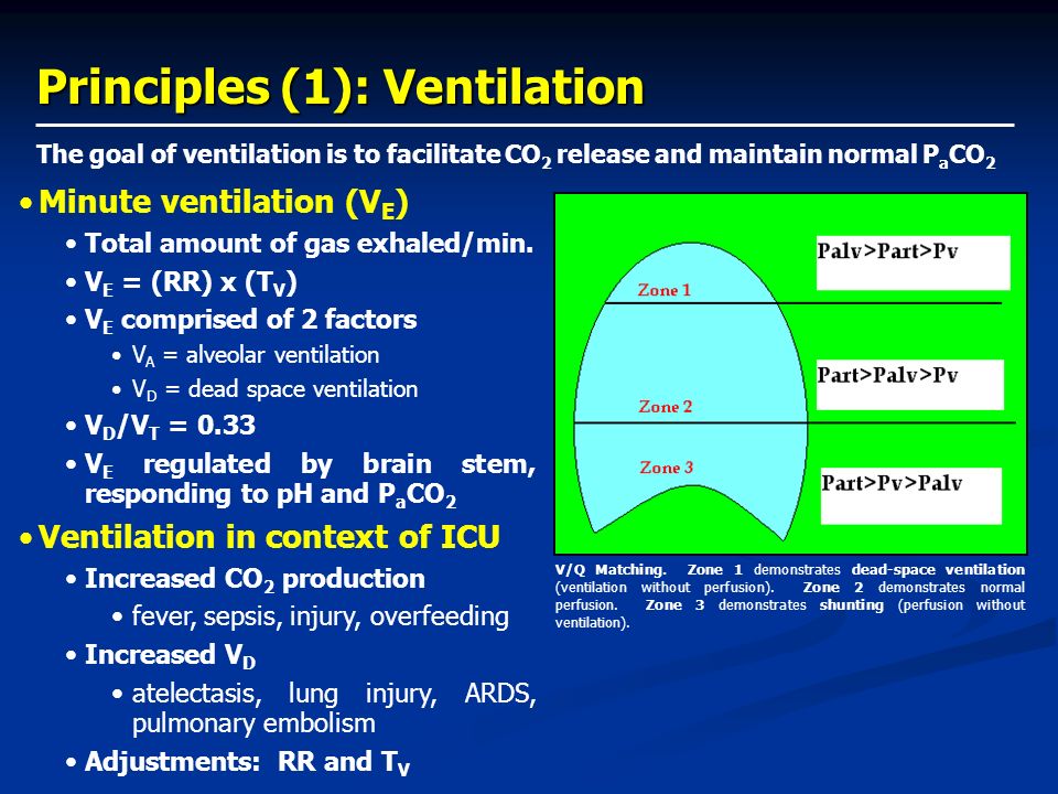 Principles of Mechanical Ventilation - ppt video online download