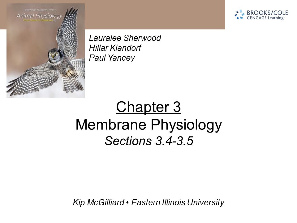 Chapter 3 Membrane Physiology Sections