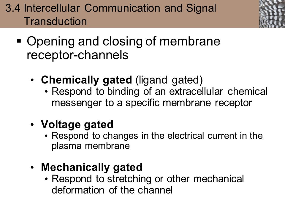 3.4 Intercellular Communication and Signal Transduction