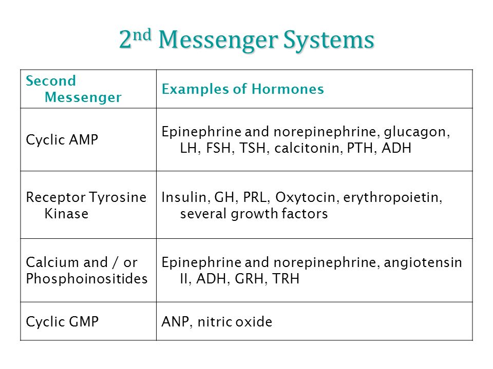 Secondary system. Second Messengers. Second Messenger System. Second Messenger System ADH. Type Messenger.