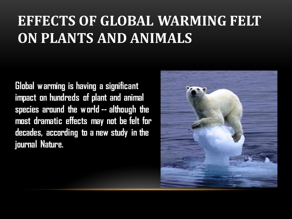 Effects of global warming. Глобальное потепление слоган. Глобальное потепление презентация на английском. What Effects of Global warming are.