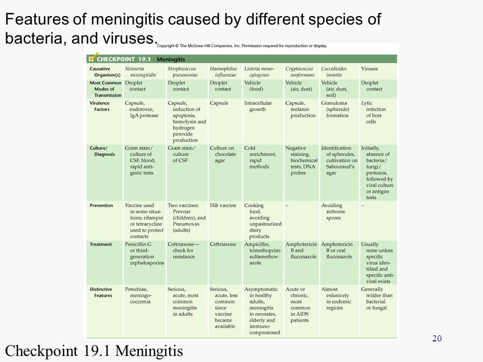 Features of meningitis caused by different species of bacteria, and viruses.