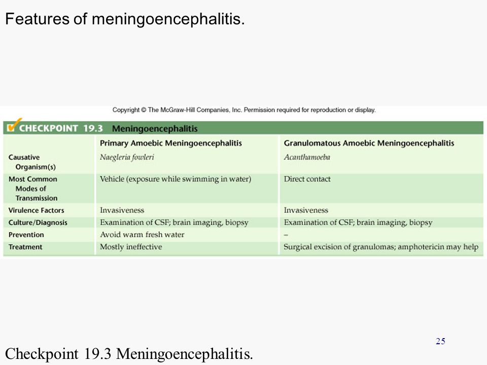 Features of meningoencephalitis.