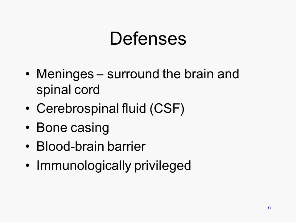 Defenses Meninges – surround the brain and spinal cord