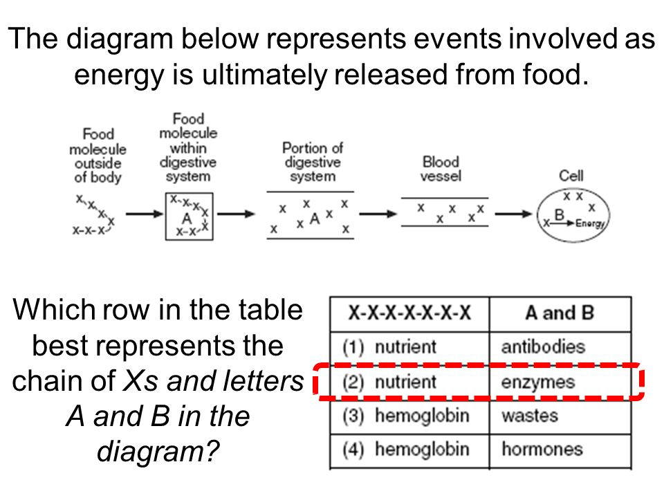 Biochemistry Cells Are Made Of Atoms Molecules Ppt Video