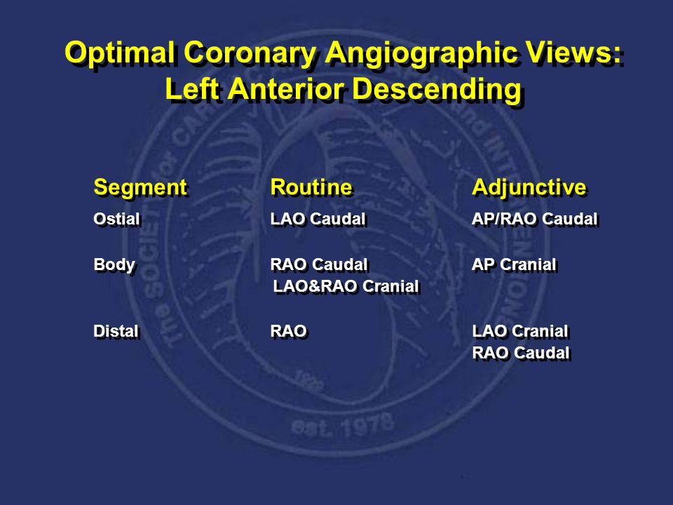 coronary angiography views