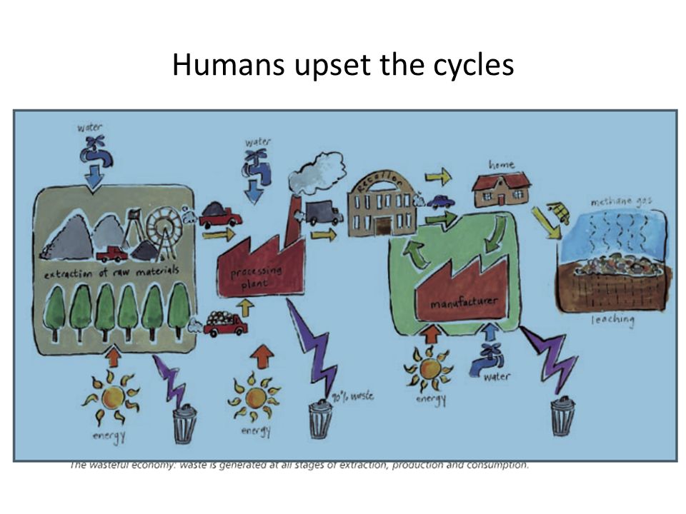 Humans upset the cycles