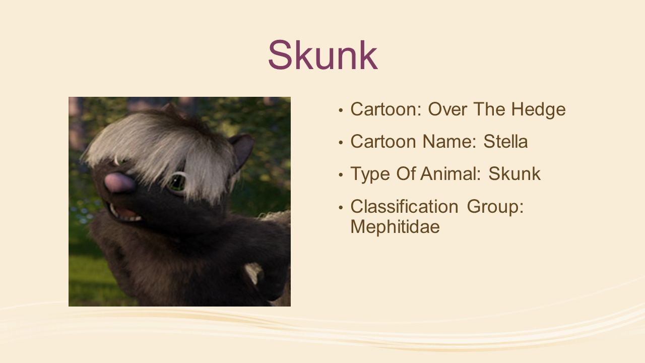 Cartoon Zoology. - ppt video online download