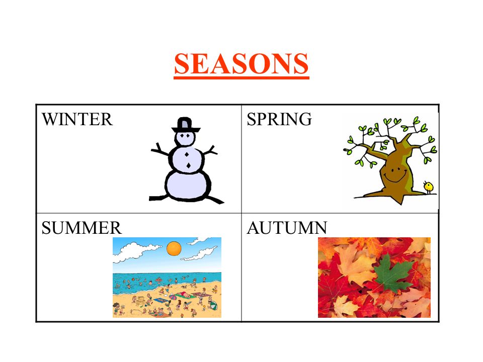 SEASONS WINTER SPRING SUMMER AUTUMN