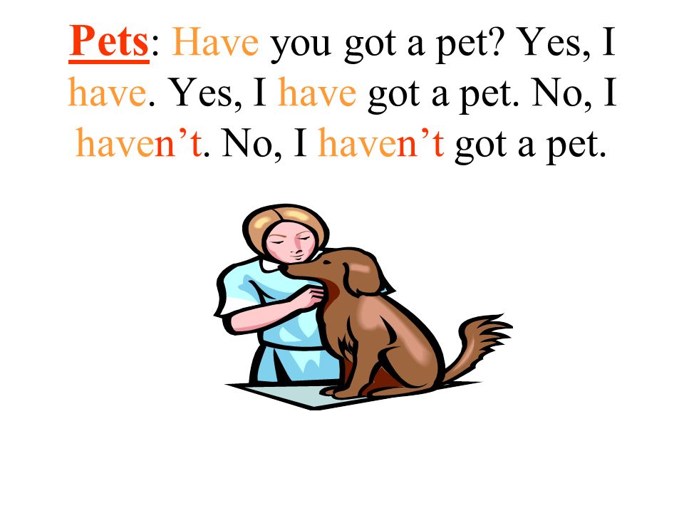 Pets: Have you got a pet. Yes, I have. Yes, I have got a pet