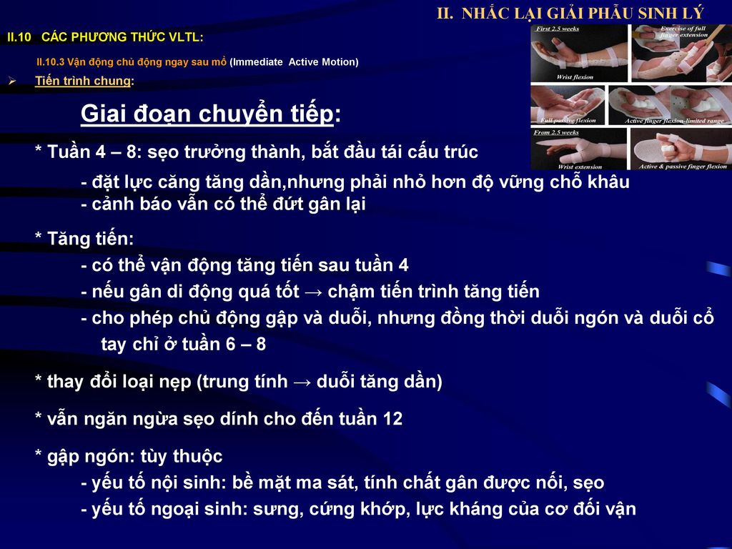 II. NHẮC LẠI GIẢI PHẪU SINH LÝ