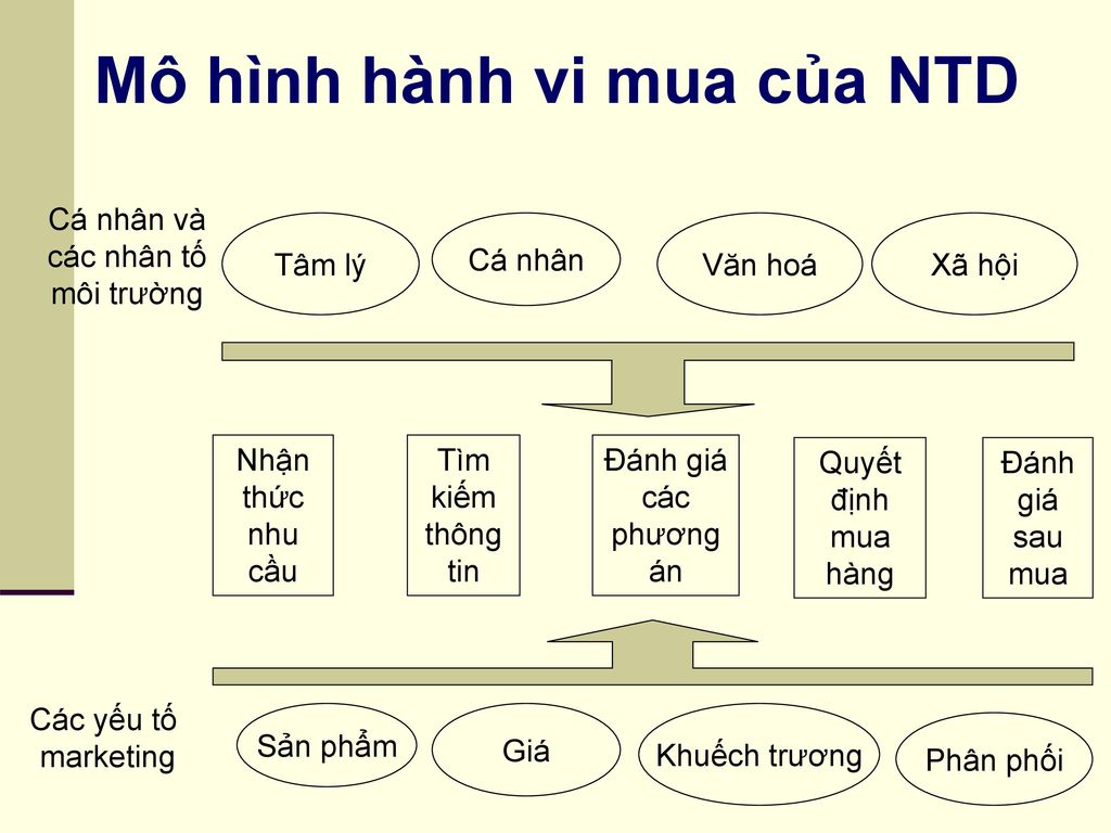 Ví dụ về hành vi  tâm lý mua hàng của người tiêu dùng trong KDOL