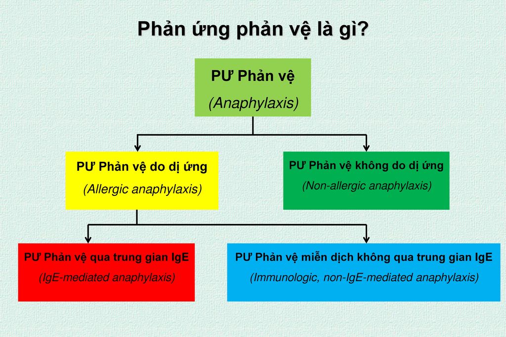 PƯ Phản vệ qua trung gian IgE