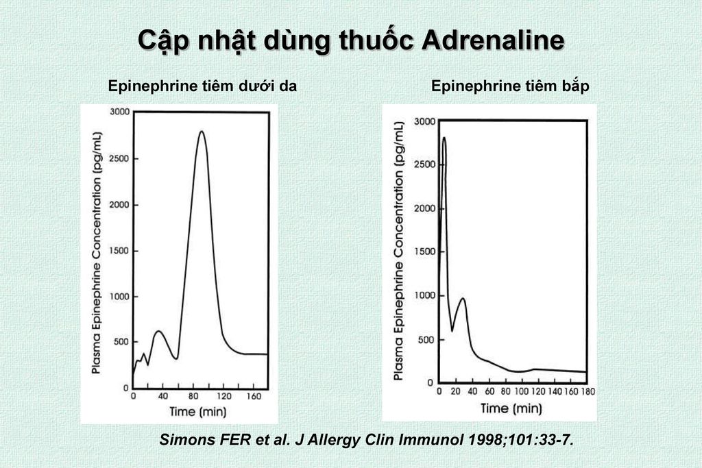 Cập nhật dùng thuốc Adrenaline