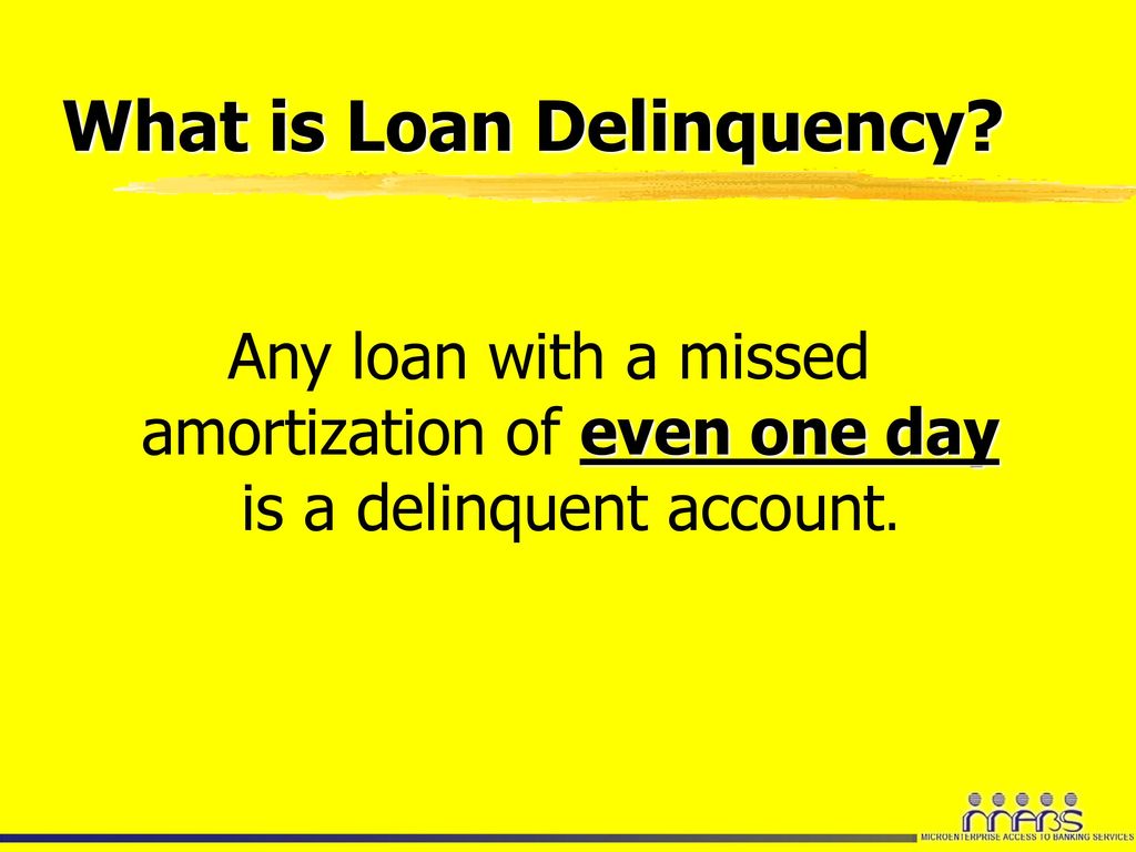Understanding Loan Delinquency - ppt download