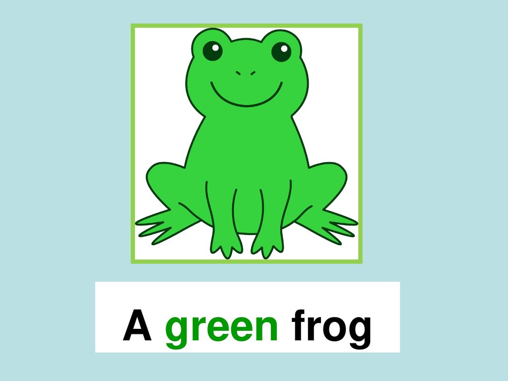 Brown Bear Brown Bear Green Frog