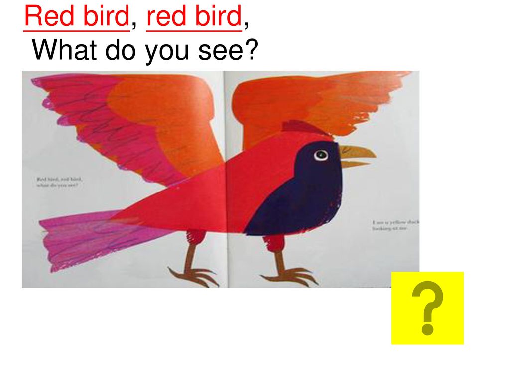 Brown Bear Brown Bear What Do You See Written By Bill Martin Jr Ppt Download