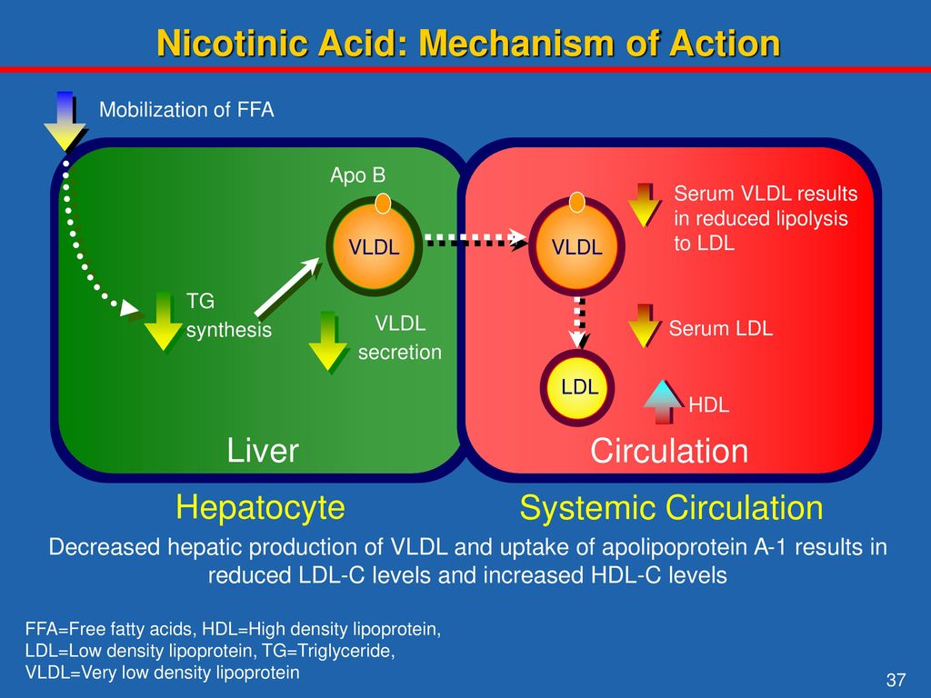 Mechanism of action. Acid принципы. Требования acid. Mechanism of acid. Ephedrine mechanism of Action.