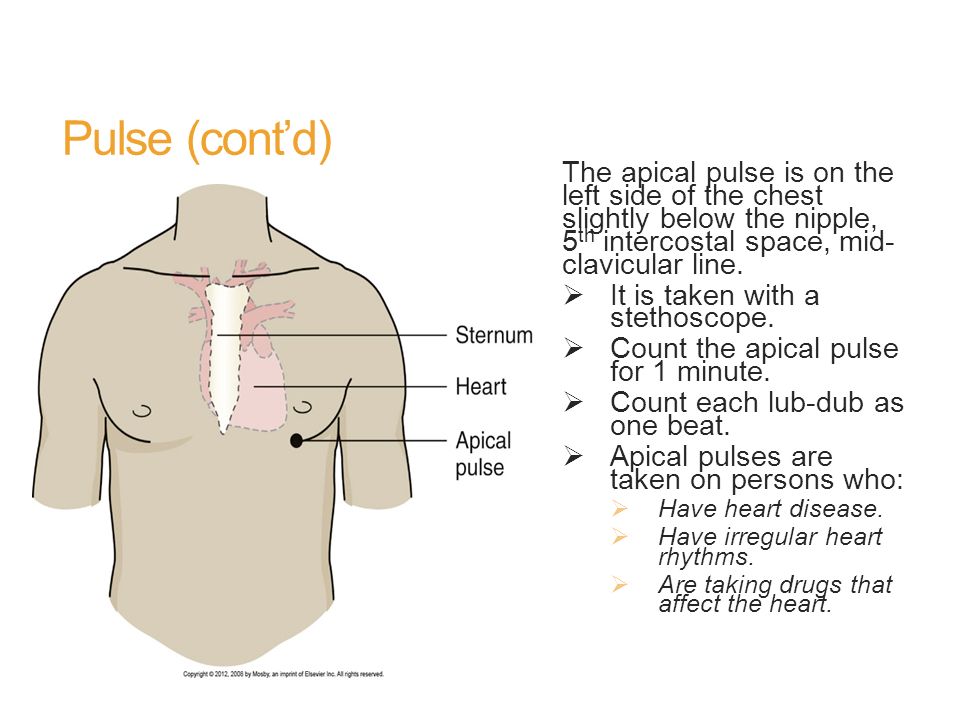 Chapter 26 Measuring Vital Signs Ppt Video Online Download