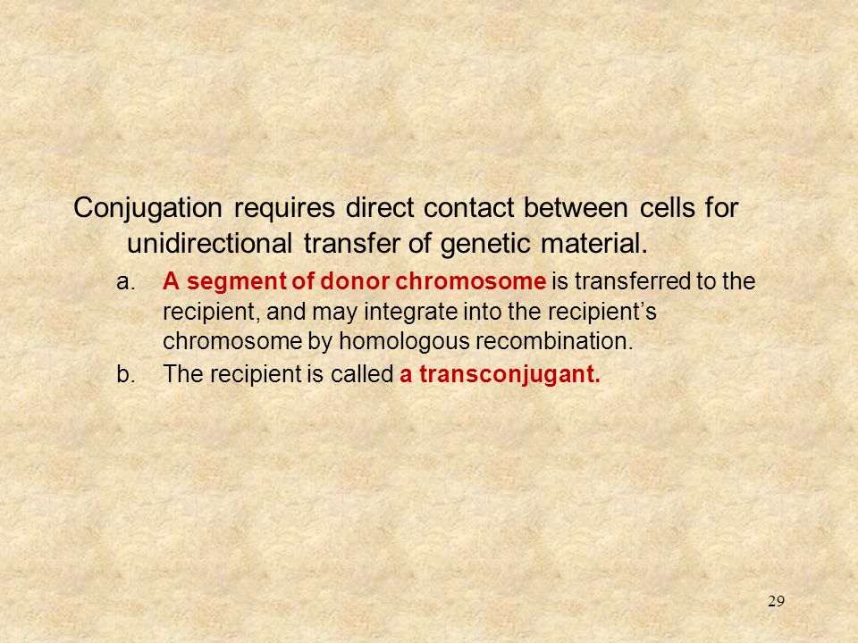 Gene Transmission In Bacteria Transformation Ppt Download