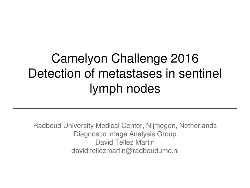 Camelyon Challenge 2016 Detection of metastases in sentinel lymph nodes