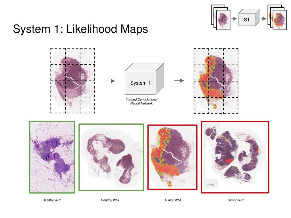 System 1: Likelihood Maps