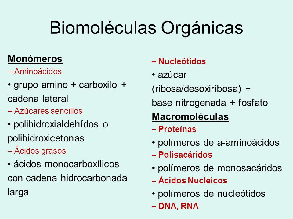 Biomoléculas orgánicas: - ppt video online download