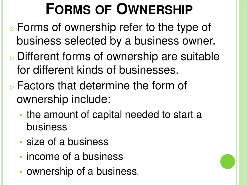 forms of ownership essay grade 12