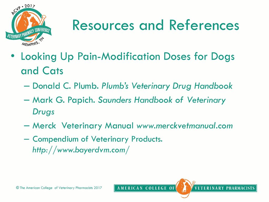 Pain Management For Dogs And Cats Ppt Download Pain Management For Dogs And Cats Ppt Download