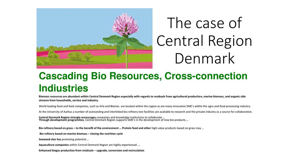 The case of Central Region Denmark