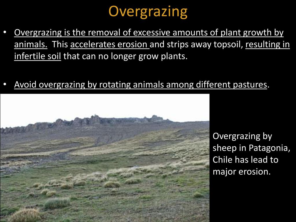 Overgrazing