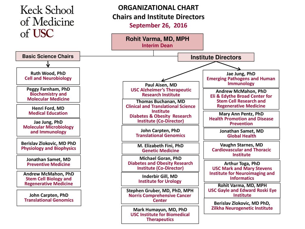 Usf Organizational Chart